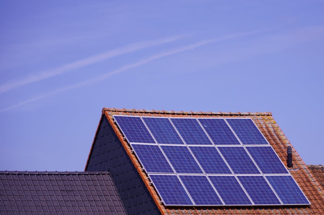 Understanding Key Components of Sustainable Living Today Image 2