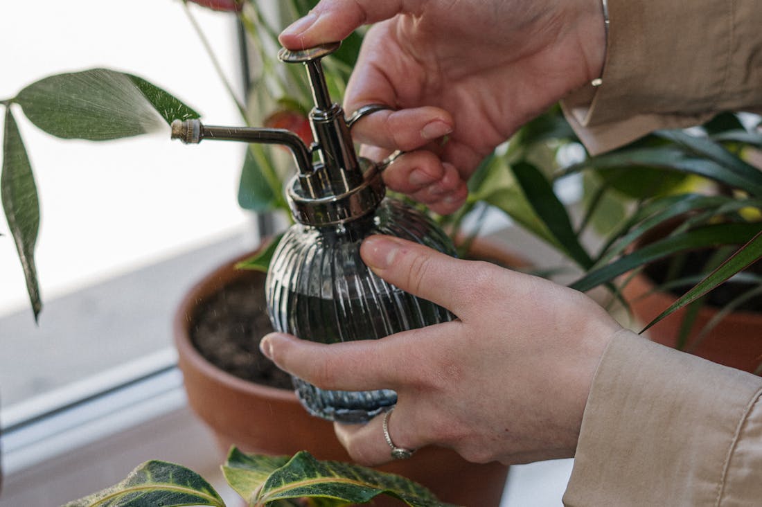 Essential Guidelines for a Sustainable Lifestyle at Home Image 2