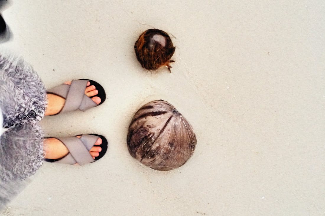 Sustainable Travel Practices That Make a Positive Impact on the Planet Image 2