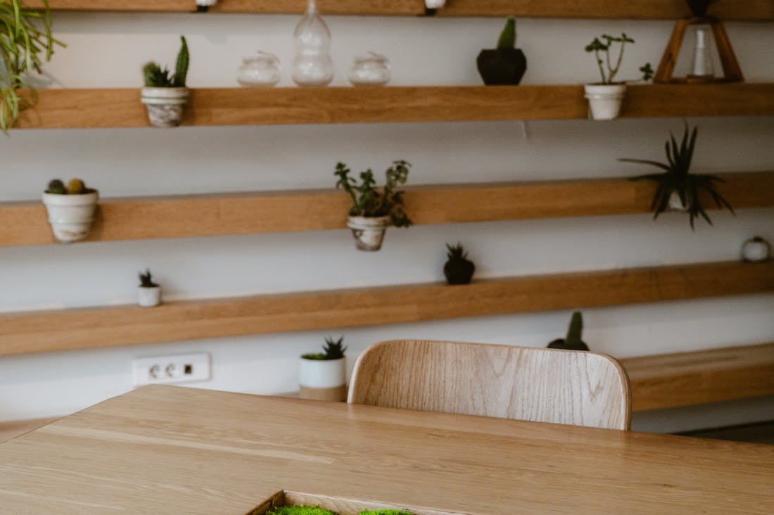 Transforming Home Spaces with Sustainable Living Choices Image 3