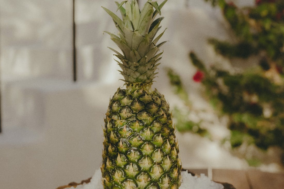 Travel Essentials for Health-Conscious Adventurers Image 2