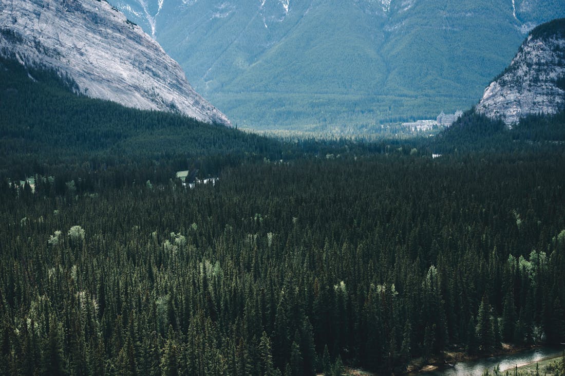 Effective Travel Planning for Your Next Vacation: Tips for Every Traveler Image 3