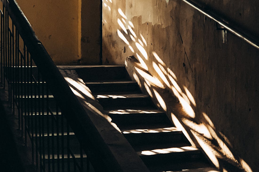 Embracing Minimalism for a Simplified and Joyful Life Image 3