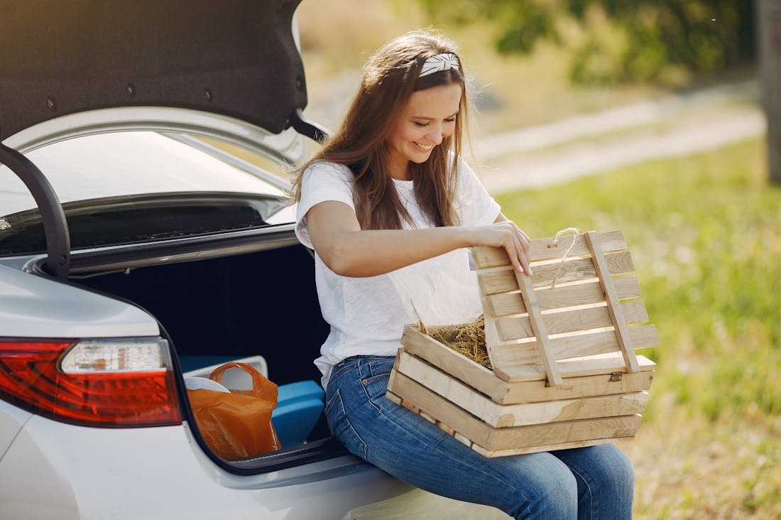 Essential Tips for Maintaining Your Vehicle's Lifespan and Reliability Image 1