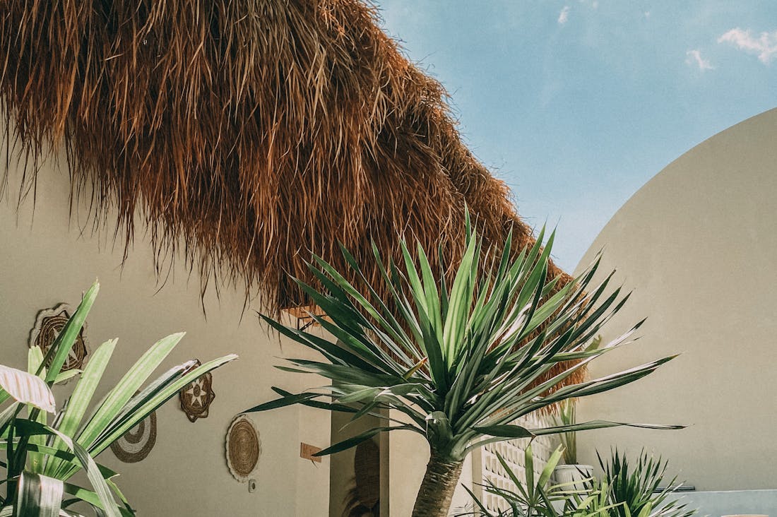 Smart Choices: Sustainable Travel for Conscious Travelers Image 1