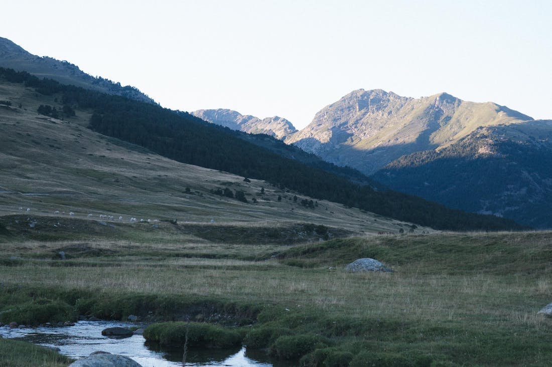 Travel Tips for a More Sustainable Adventure Image 3