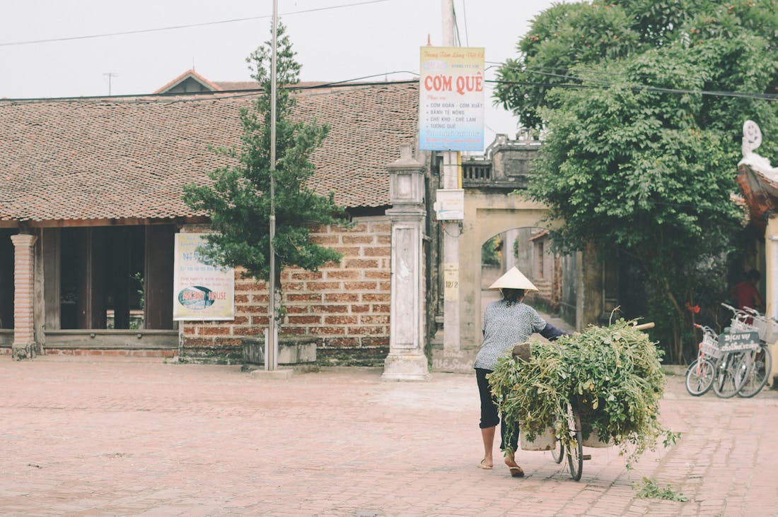 Essential Tips for Sustainable Travel in Today's World Image 3