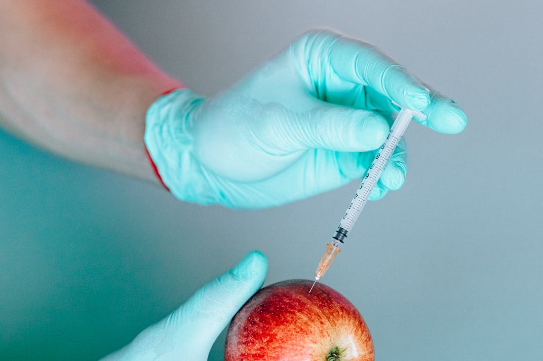 7 Essential Tips to Boost Your Immune System Naturally and Effectively Image 2