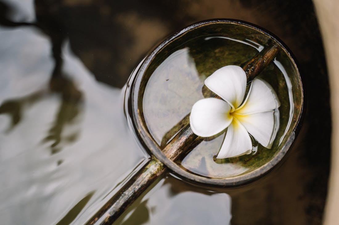 Boosting Mental Clarity: Strategies for Enhanced Focus and Productivity Image 1