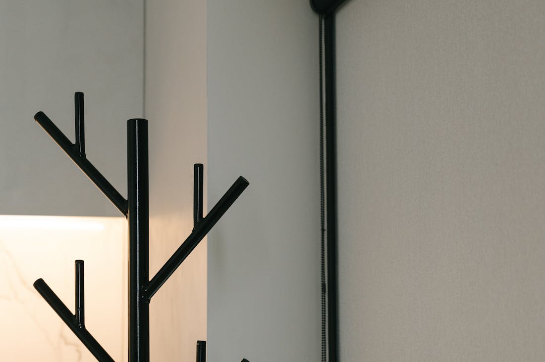 Decor Inspiration That Elevates Any Living Space Instantly Image 2