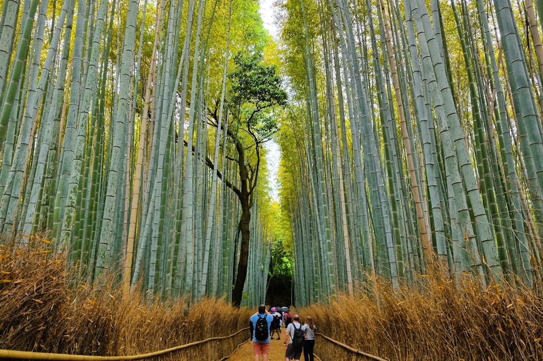 Essential Tips to Enhance Your Travel Experience in Any Destination Image 1
