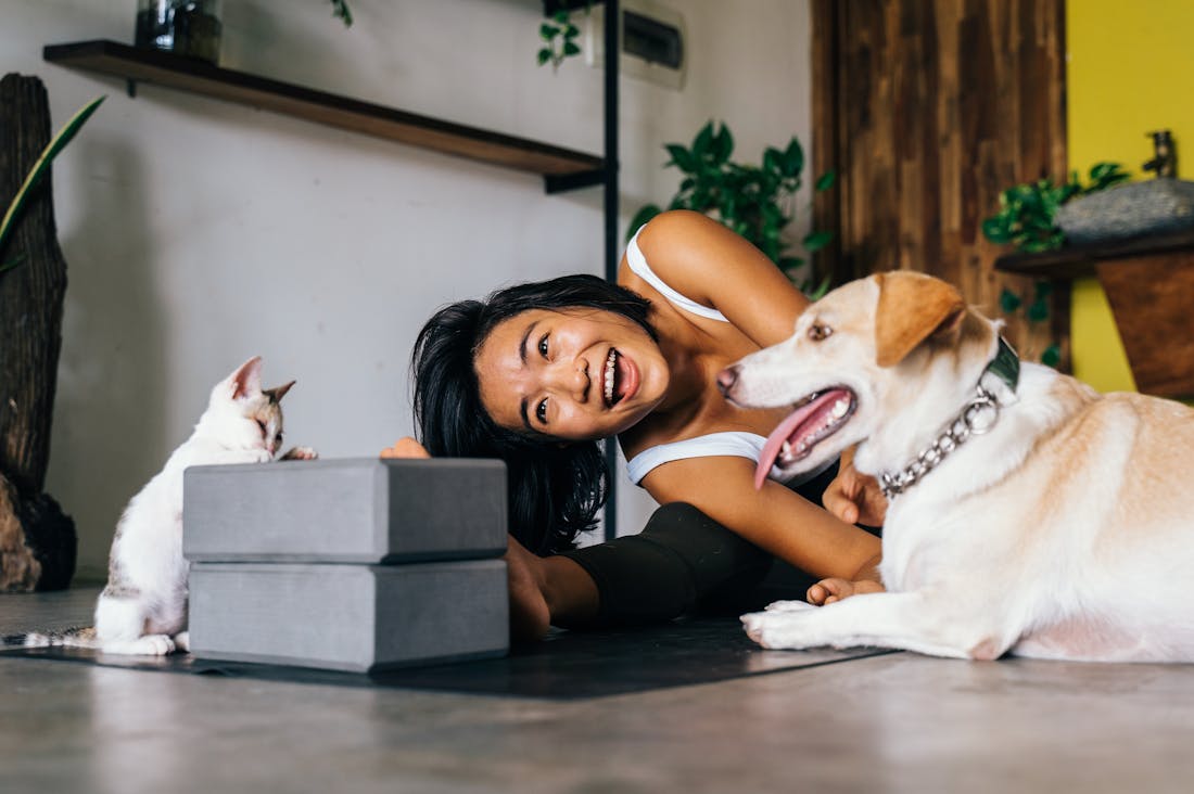 Optimizing Well-Being: Secrets for a Thriving Healthy Lifestyle Image 3