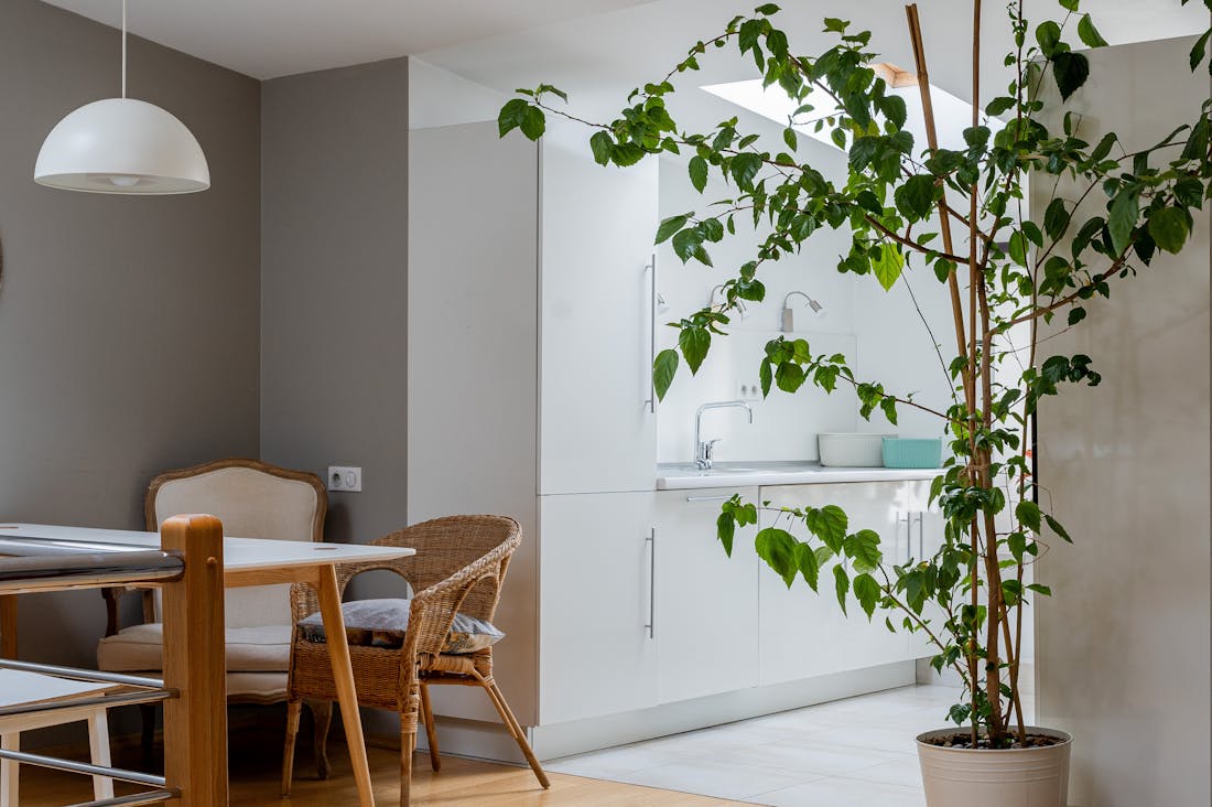 Refreshing Home Makeover Ideas for a Modern Aesthetic Image 2
