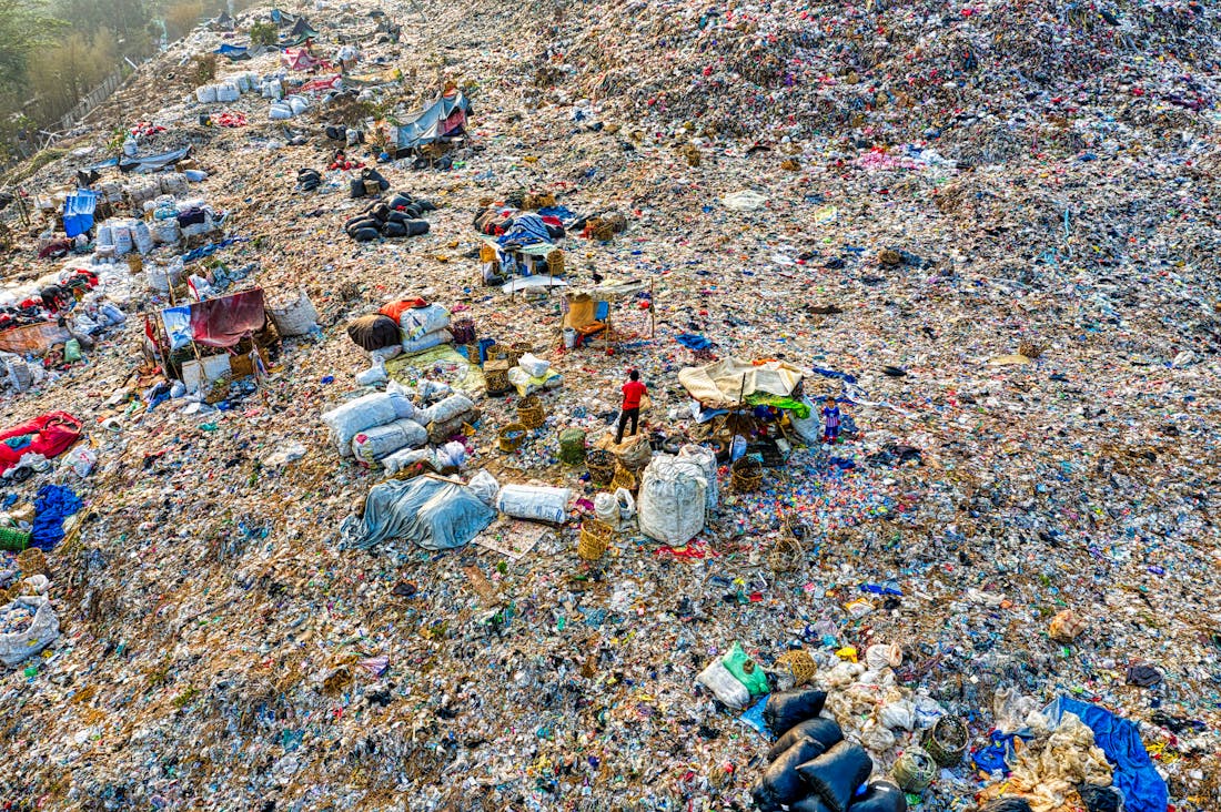 Sustainable Living Practices for a Greener Future