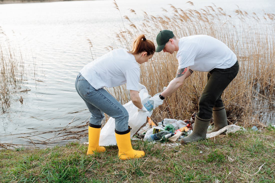 Creating Sustainable Living Habits: A Guide to Eco-Conscious Choices Image 3