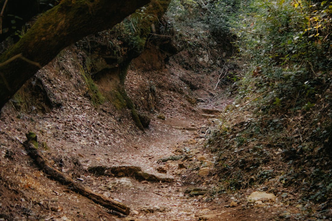 Experiencing Travel Beyond Tourist Attractions for Authentic Adventures Image 2