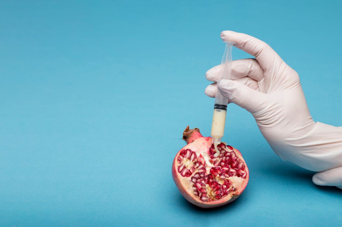 Health Trends Every Wellness Enthusiast Should Know Image 1