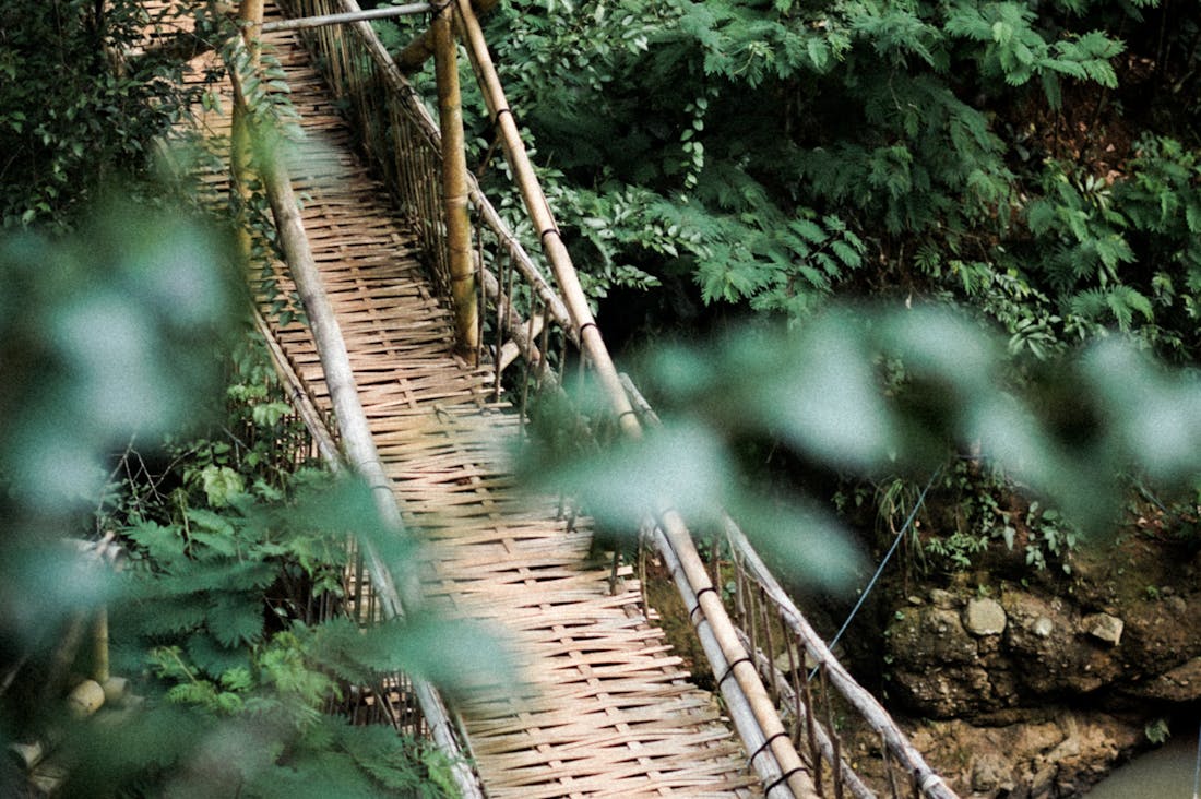 Revamping Your Travel Plans for Unique Experiences Image 1