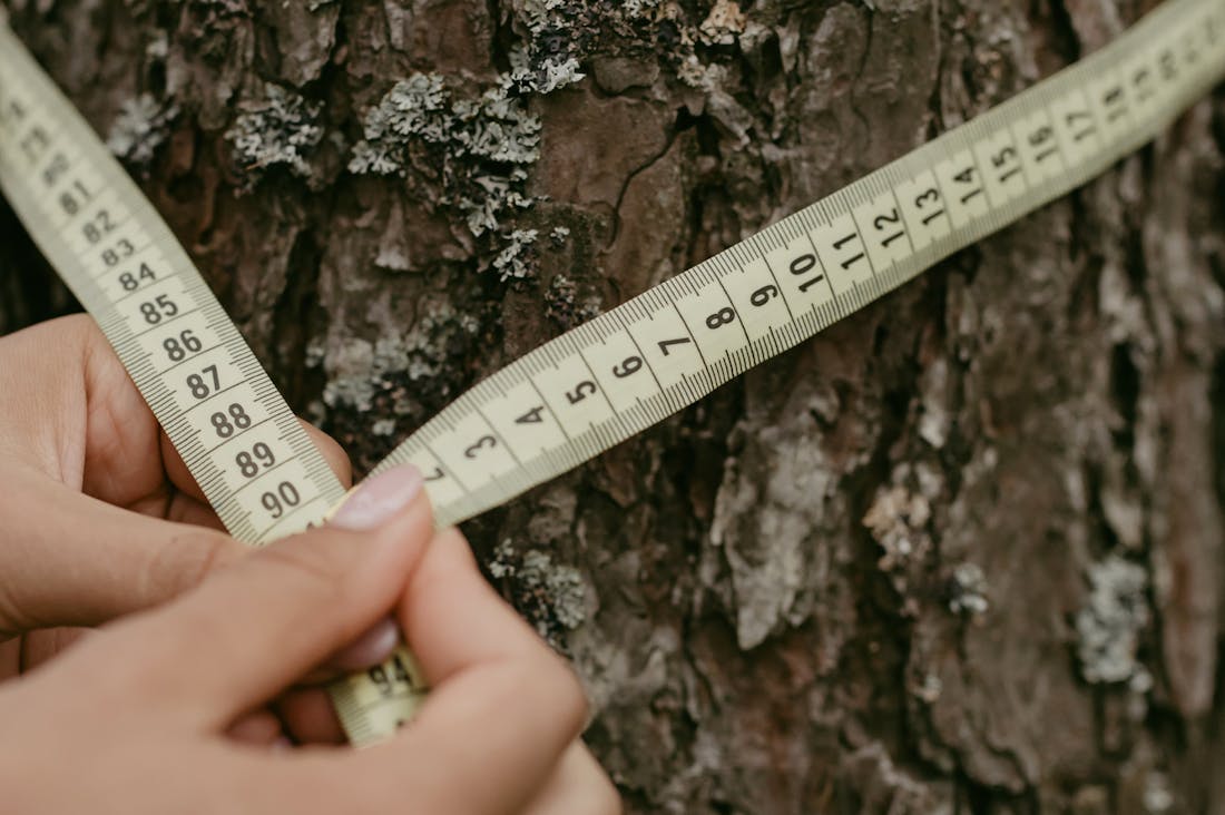 Timeless Tips for Effective Budgeting and Resource Management Image 2