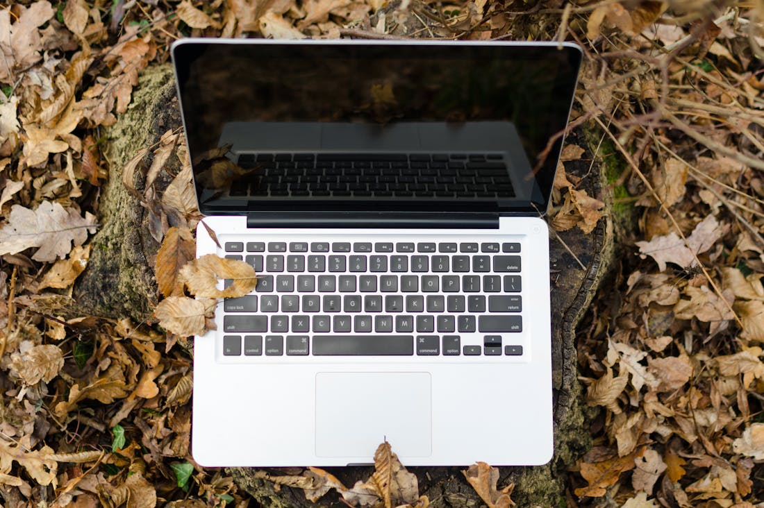 Cutting-Edge Tech Gadgets Enhancing Everyday Life Image 3