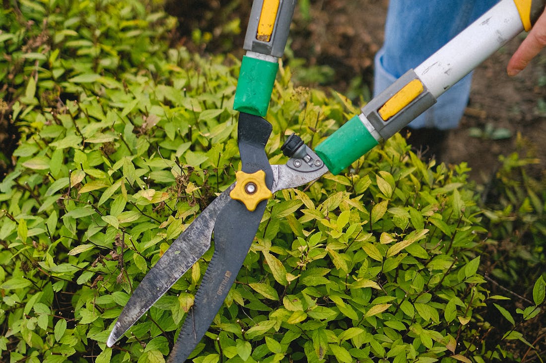 Simple Home Maintenance Tips for a Stress-Free Living Environment Image 2