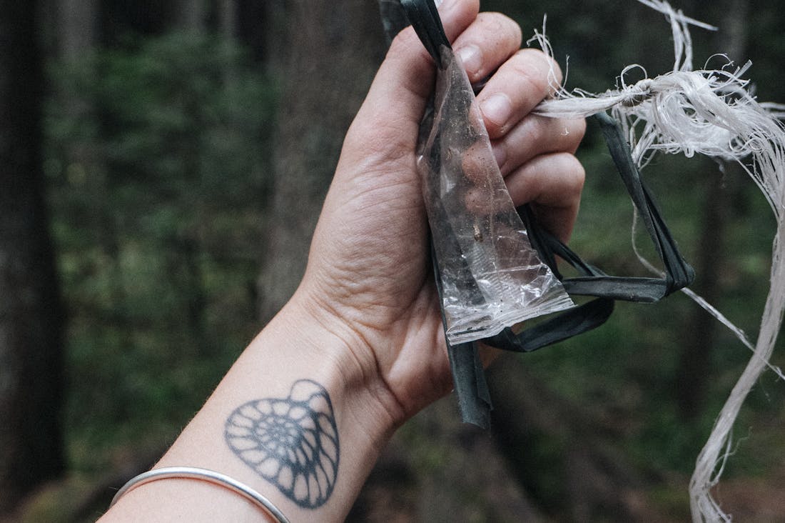 Sustainable Travel: Making Eco-Friendly Choices for Your Next Adventure Image 3