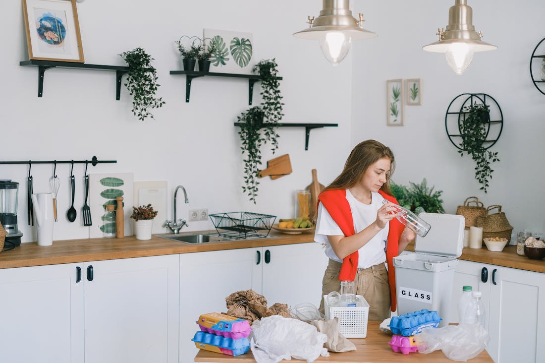 Tips for Maintaining a Sustainable Lifestyle on a Budget Image 1
