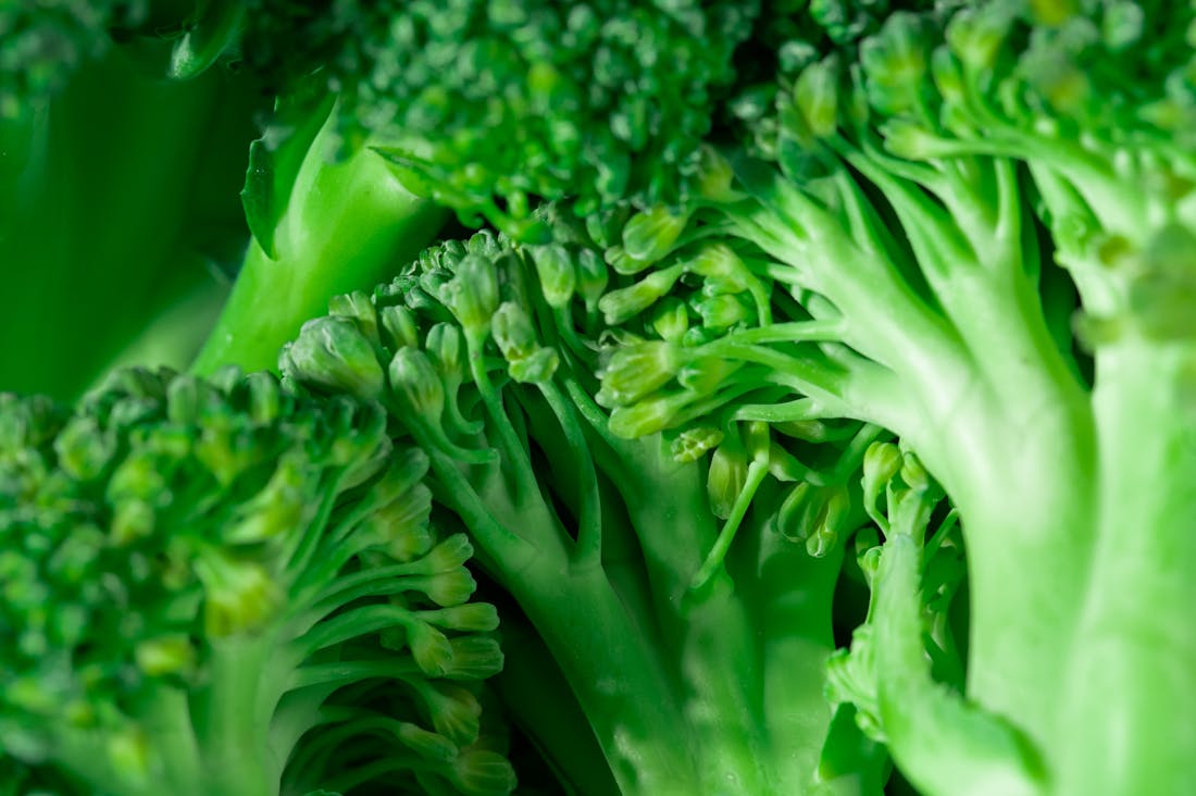 Revolutionary Plant-Based Diets and Their Impact on Modern Health Image 1