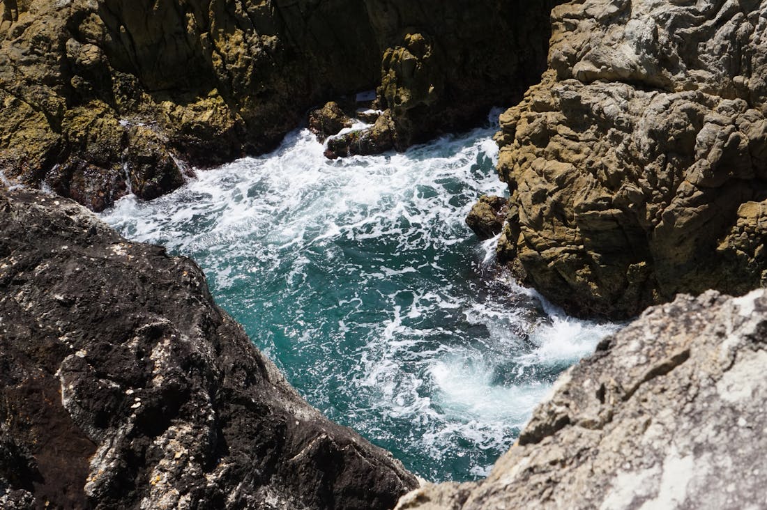 Innovative Trends Shaping the Future of Sustainable Travel Image 2