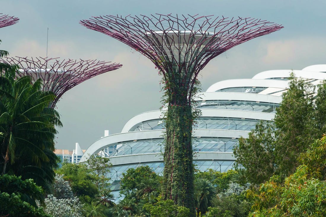 Innovations Reshaping the Future of Sustainable Travel Experiences Image 1
