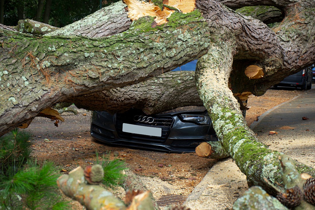 Innovations Shaping the Future of Electric Vehicles Image 2