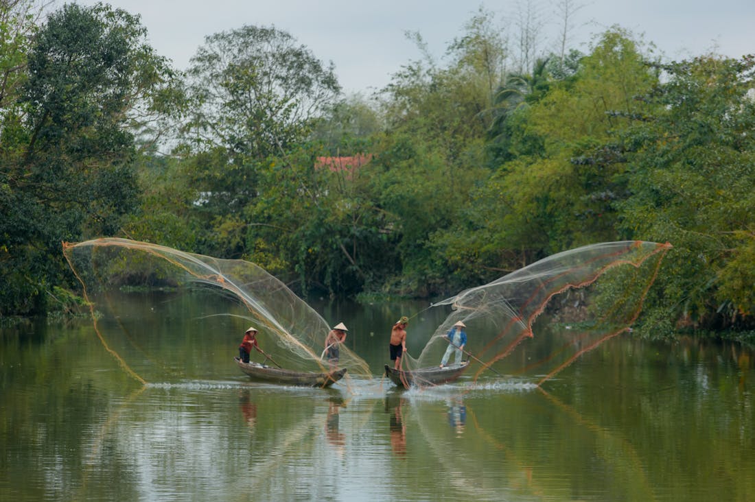 Trends in Sustainable Living: Making an Impact on the Environment Image 3