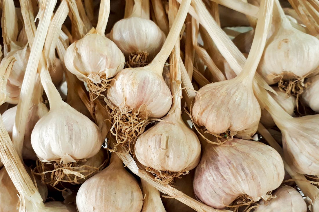 Boosting Immune Health with Natural Remedies: Strategies for a Resilient Lifestyle Image 1