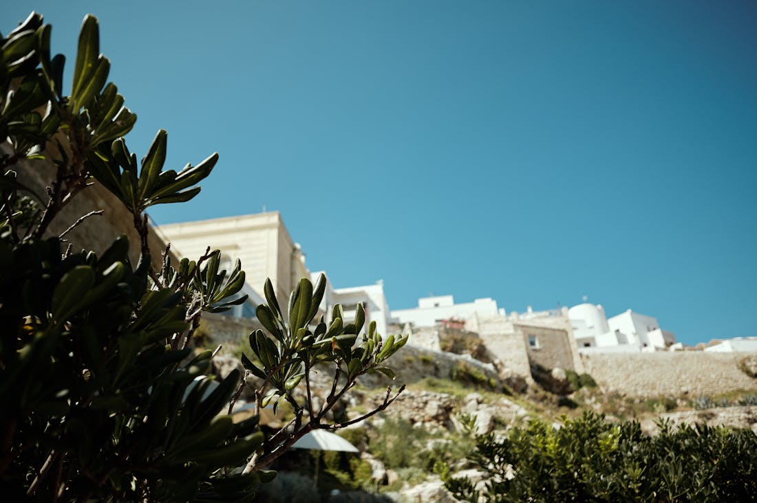 Top Eco-Conscious Travel Destinations for Sustainable Adventures Image 2