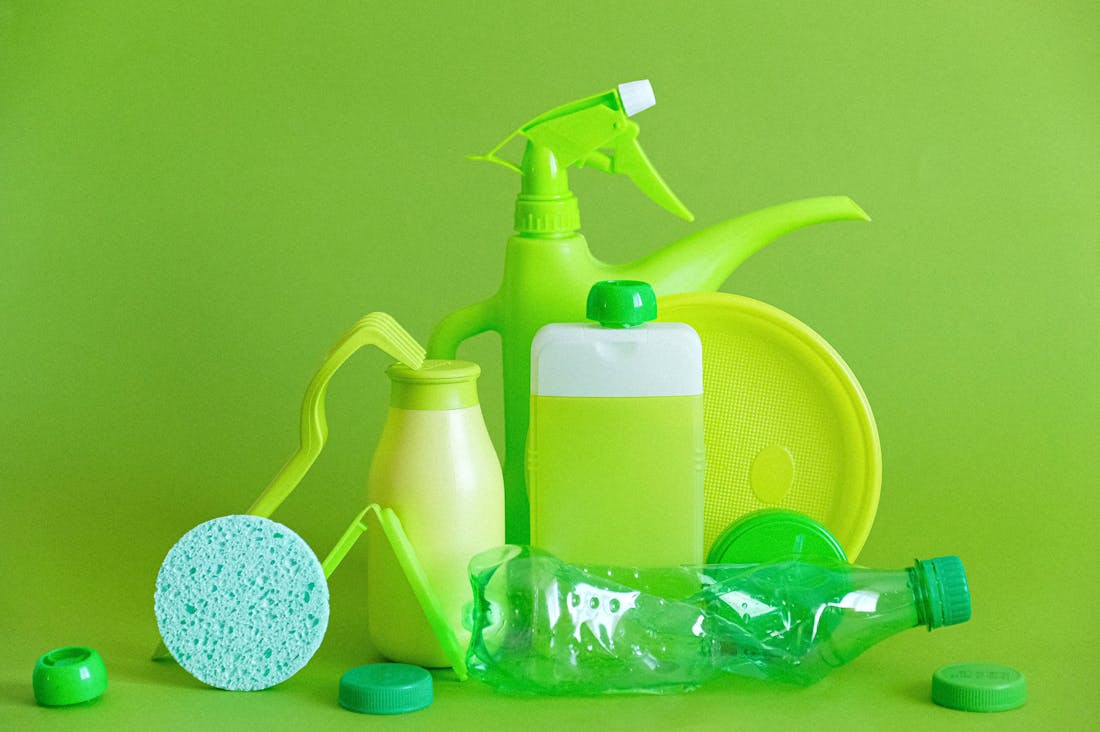 Cultivating a Sustainable Lifestyle: Simple Changes for a Greener Home Image 1