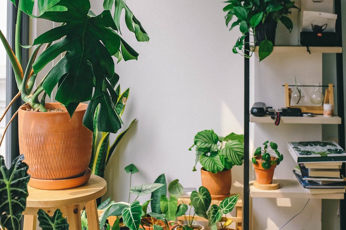 Innovative Ways to Improve Indoor Air Quality for Healthier Living Spaces Image 2