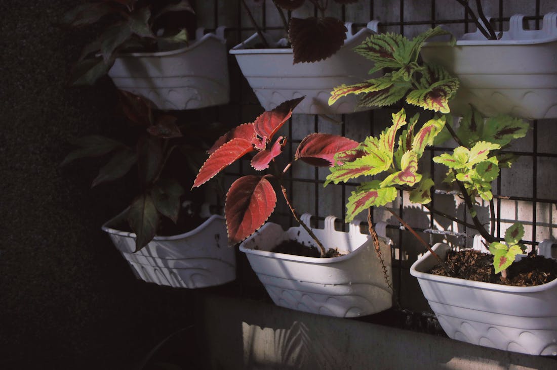 Transforming Spaces: Tips for a Healthier Home Environment Image 1