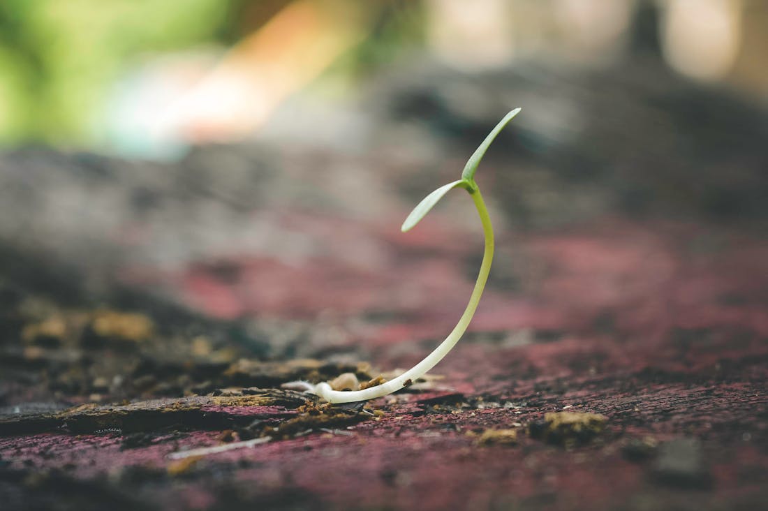 Boosting Mental Clarity and Focus with Simple Lifestyle Changes Image 2