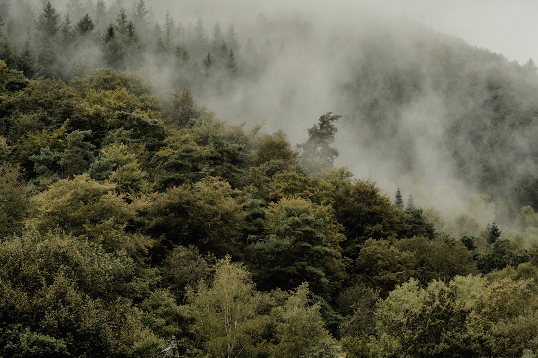 Crafting a Sustainable Lifestyle: Simple Steps for Eco-Conscious Living Image 3