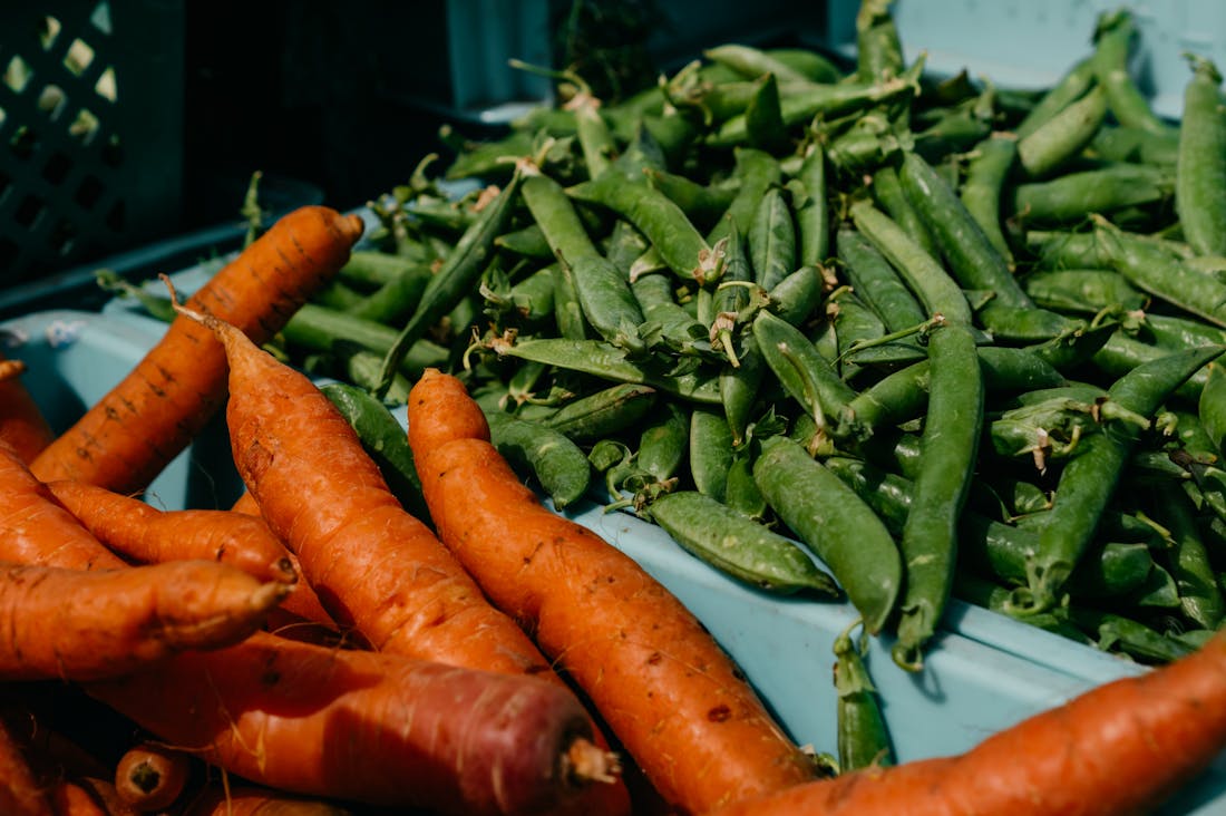 Crucial Elements to Consider for Sustainable Living Choices Image 2