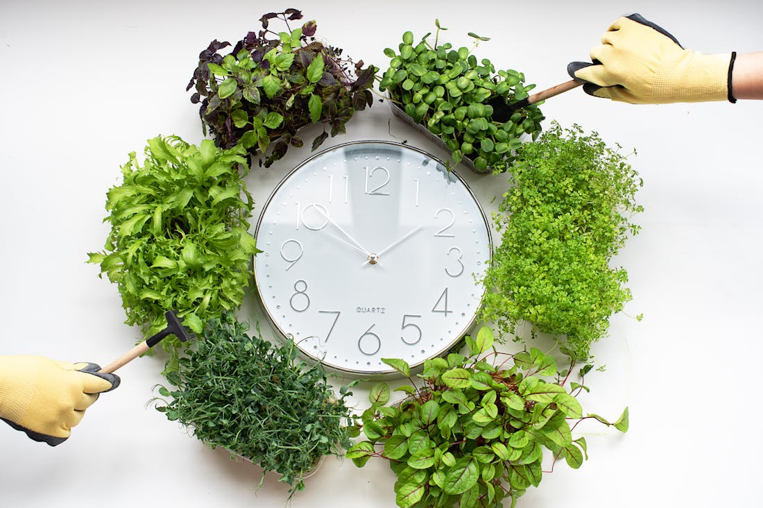 Essential Lifestyle Shifts: Adapting to Modern Living Image 1
