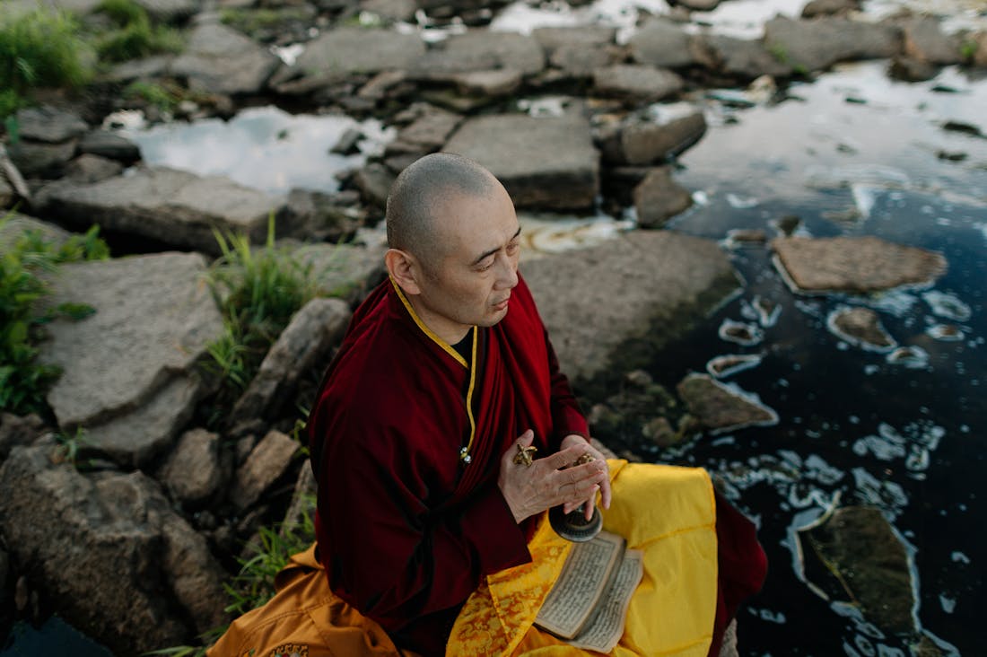 Holistic Approaches to Boosting Immune Health and Well-Being Image 2