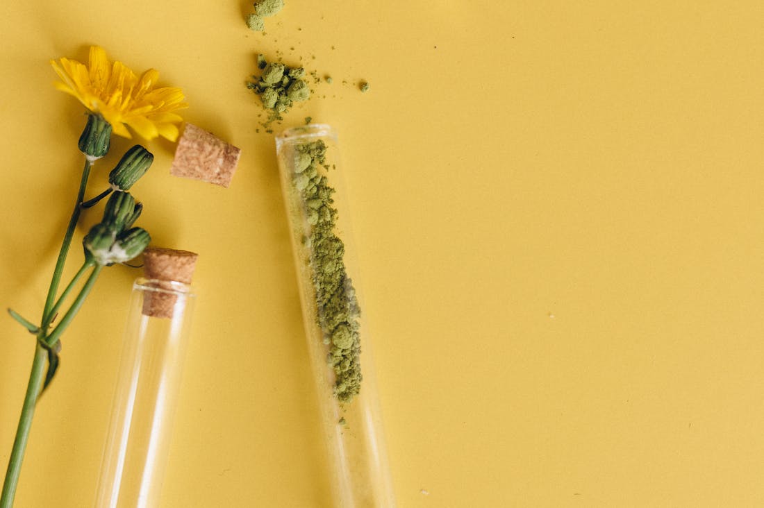 Holistic Approaches to Boosting Your Well-being Beyond Traditional Medicine Image 2