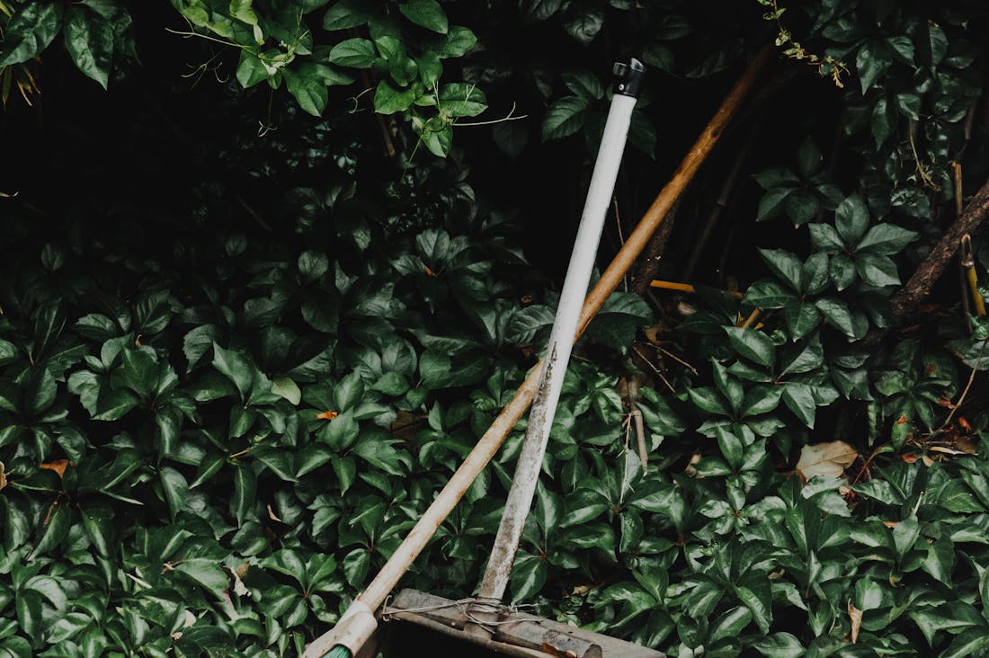 Keys to Creating a Balanced Lifestyle in a Fast-Paced World Image 1