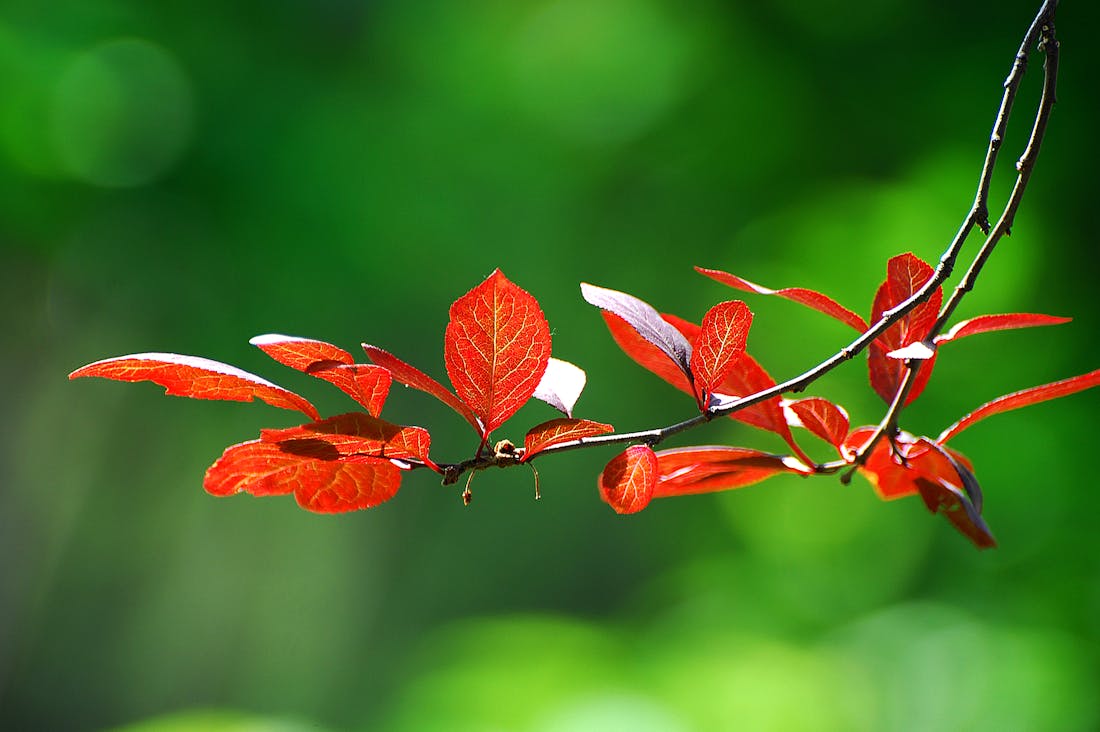 Transforming Everyday Habits for Optimal Health and Well-Being Image 1