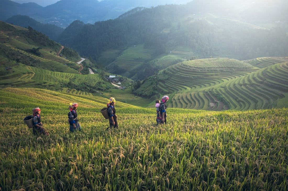 The Art of Travel: Cultivating Experiences that Enrich Your Life and Broaden Your Perspective Image 3