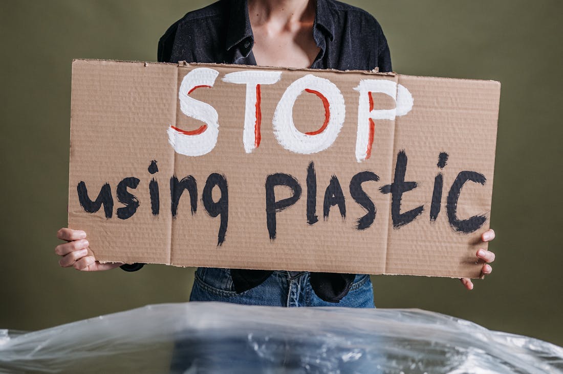 Building a Sustainable Future: Eco-Friendly Practices for Everyday Living Image 1