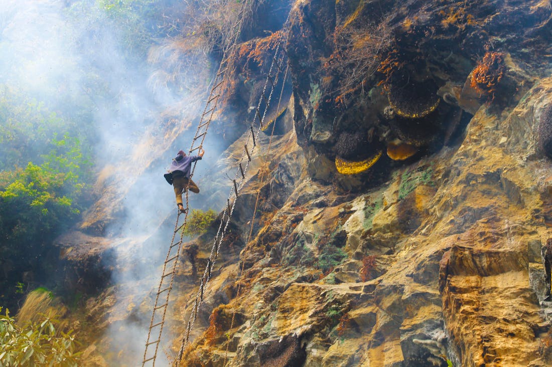Eco-Friendly Travel Tips for a Sustainable Adventure Image 3