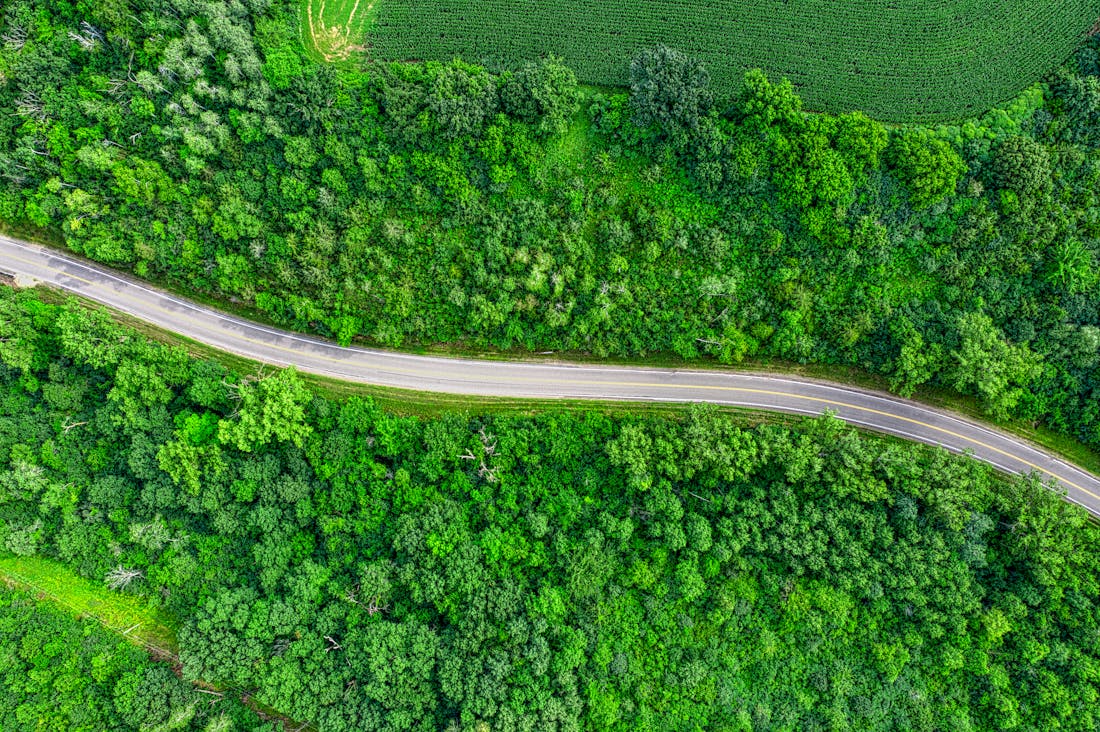 Sustainable Travel Habits for Conscious Explorers: Techniques for Eco-Friendly Journeys Image 3