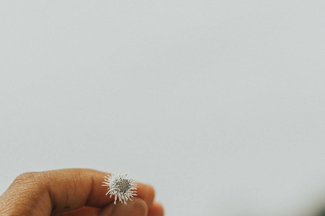 Tips for Crafting a Modern, Minimalist Lifestyle Image 3